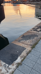 Sunset draws observers to Burgas harbor for photos, fishing