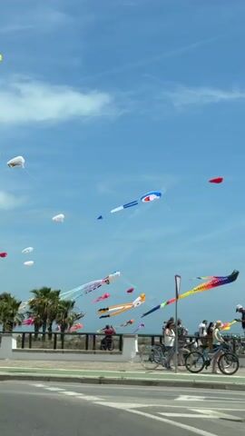 A wide shot depicts a bright outdoor scene under a clear blue sky with scattered white clouds. Numerous kites of various colors and shapes, including white, red, yellow, and multi-colored parafoils and delta kites, are flying high. A prominent long blue and white kite, shaped like an aircraft, is visible in the upper center. Another very long, multi-sectioned kite, displaying rainbow colors, stretches horizontally across the right mid-ground. In the foreground, a paved road runs parallel to a green bike lane. A white curb separates the bike lane from a concrete promenade where several individuals are gathered. On the right, two people stand next to bicycles; one wears a helmet and appears to be adjusting a bike. A red and white striped pole is positioned on the promenade. Further back, a metal railing separates the promenade from a green area featuring several palm trees. One person in a wheelchair is visible behind the railing.