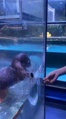Visitor documents aquarium experience in Tianhe District