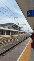 Traveler with luggage observes high-speed train at Furong station