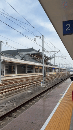 Traveler with luggage observes high-speed train at Furong station