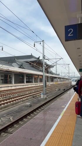 Traveler with luggage observes high-speed train at Furong station