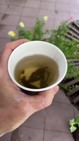 A hand holds a white paper cup filled with pale, golden-colored tea. A few green tea leaves are visible inside the cup. The camera focuses on the cup, and then pans slightly to the right, showing a section of tiled patio next to a small flower bed.  The flower bed is ringed with wooden slats and contains pink flowers. A tree trunk is also visible.
