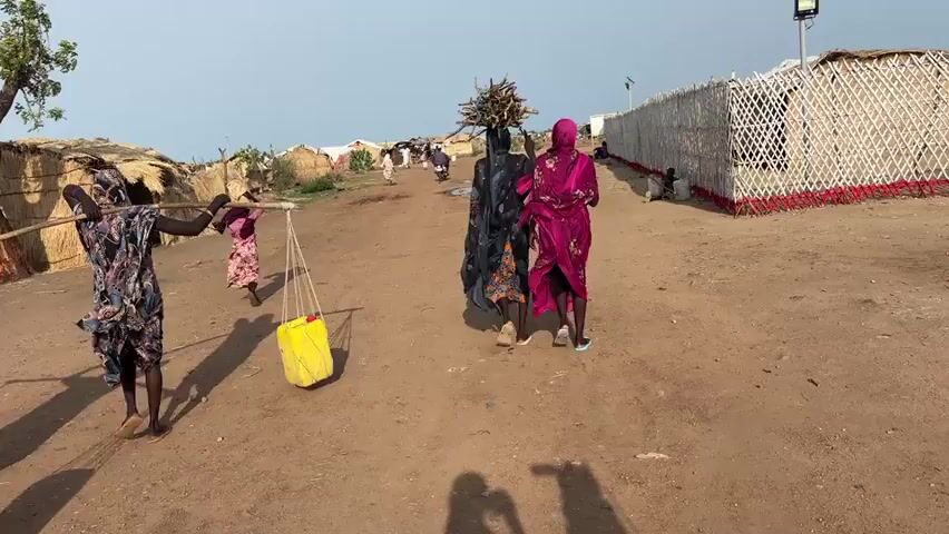 The video depicts a scene in what appears to be a refugee or displacement camp in Ad-Damazin, Sudan. The setting is an arid, dusty environment with scattered, simple structures, some made of straw or reeds, and others appearing to be more modern tent-like accommodations. The ground is unpaved dirt.

The primary subjects are several women walking along a path. They are dressed in traditional, colorful clothing, and most are carrying burdens. One woman in the foreground on the left is carrying a long wooden pole across her shoulders, from which hang two orange containers and one yellow container, likely filled with water. Another woman beside her carries a similar pole with two white containers. Further ahead, two women are walking together. One is carrying a large bundle of firewood or branches on her head, and the other is wearing a vibrant pink headscarf and dress, also appearing to be walking away from the viewer. In the background, other people can be seen walking and gathered near structures, including children.

The activity shown is the daily task of collecting and transporting essential resources like water and firewood. The women are engaged in the arduous labor of carrying heavy loads, a common activity in such settings.

The time of day appears to be daytime, with bright sunlight casting shadows, suggesting it is likely mid-morning or afternoon. The sky is clear and pale, indicating dry weather conditions. The overall atmosphere suggests a community engaged in survival and daily routines in a challenging environment. There is no visible text in the media file.