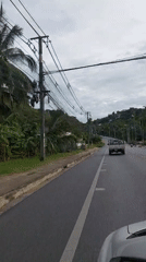 Cruising a tropical road lined with palms in Ko Samui