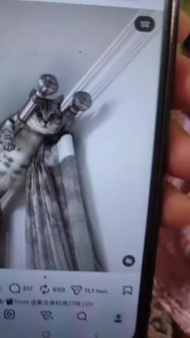 A person holds a phone displaying a video of a gray tabby cat resting atop a curtain rod. The cat is draped over the rod, which is attached to the wall, with its paws gripping the rod. The curtain hangs down behind the cat. The wall is white. The phone screen displays Instagram-like icons at the bottom. The video appears to be shot from a low angle, looking up at the cat and the curtain rod.