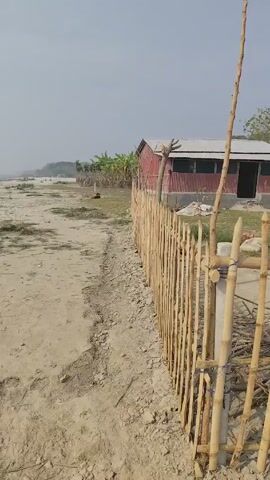 The camera pans across a landscape on a sunny day, focusing on a fence made of bamboo poles. The fence encloses an area of grass, with a small red and gray building visible in the background. A few people can be seen moving around within the fenced area in the distance. The ground near the fence is sandy and bare. A small red flag is visible atop a tree in the distance.