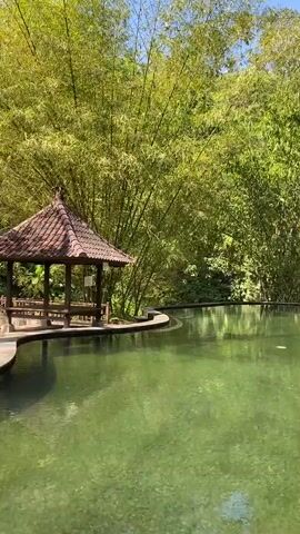 A tranquil scene unfolds with a still, green pond reflecting the lush bamboo forest surrounding it. To the left, a small, open-sided pavilion with a tiered, reddish-brown roof offers a shaded respite. Sunlight filters through the dense bamboo stalks, dappling the water's surface. The environment appears serene and natural, with the water's edge curving gently around the pavilion. No people are visible in the video.