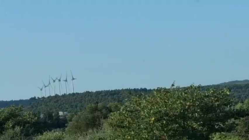 A video shows a line of wind turbines on a distant hill. The wind turbines are tall and white with three blades each. They are silhouetted against a clear blue sky. The hill is covered in trees, and there are some smaller trees and bushes in the foreground. The scene appears to be a rural or natural landscape. The time of day seems to be daytime, given the bright sky and the visibility of the landscape. No people are visible in the video, and no text is present. The video appears to be a scenic shot of a wind farm.