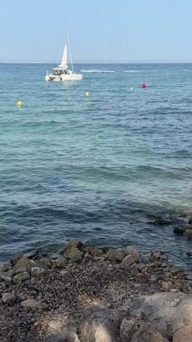 A video shows a catamaran sailing on a calm, clear blue sea. The catamaran has a white hull and sails and is positioned in the upper left quadrant of the screen. Several yellow buoys and one red buoy are visible in the water. The foreground of the video is a rocky shoreline. The sky is clear and blue.