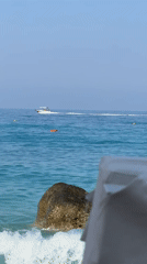 Boats on Fethiye's turquoise water, plus a cat napping dockside