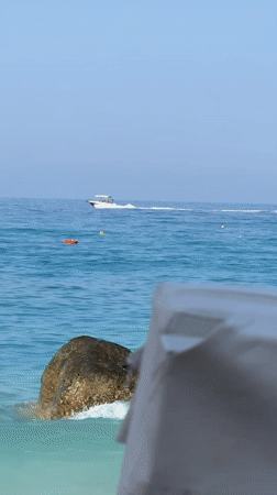 Boats on Fethiye's turquoise water, plus a cat napping dockside