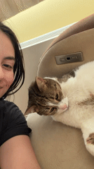 Person shares tender moments with sleeping calico cat