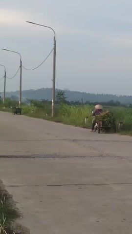 A person wearing a conical hat rides a motorcycle with a cart filled with green foliage down a paved road. Several lampposts line the left side of the road. In the distance, green hills are visible under a cloudy sky.