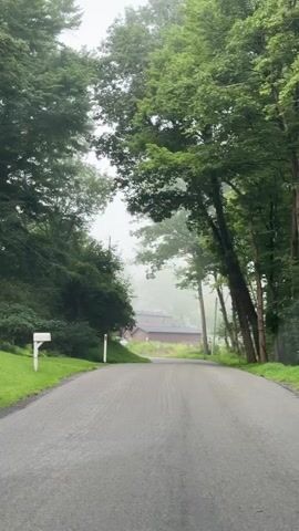 The video shows a paved road winding through a wooded area. The trees are dense and leafy, creating a canopy overhead, and the air appears misty or foggy, particularly in the distance. On the left side of the road, there is a white mailbox and a red and white marker post. In the background, a building with a reddish-brown roof is visible through the trees. The road curves slightly to the right as it moves away from the camera. The scene suggests a rural or suburban setting on a possibly overcast or foggy day. There are no people or visible animals in the video.