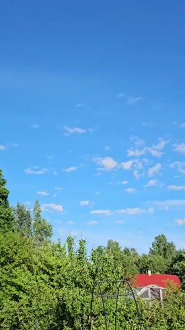 The video shows a panoramic view of a blue sky with scattered white clouds above a dense green forest and trees. In the foreground, there are hints of man-made structures such as a red-roofed building partially visible through the foliage, a metal archway, and a tall wooden pole with power lines extending across the sky. The overall scene depicts a natural outdoor environment with some signs of human habitation.