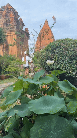 Morning visit documented at Po Nagar Cham Towers, Vietnam