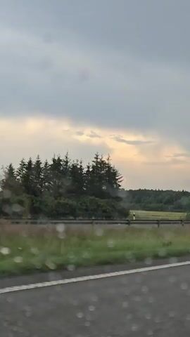 The video captures a view from inside a vehicle, looking out at a landscape under a cloudy sky. Raindrops are visible on the windshield, distorting the view slightly. A road is present in the foreground with a white line. Beyond the road is a grassy field with scattered flowers. A line of trees, predominantly coniferous, borders the field, and further back, a dense forest stretches across the horizon. A few poles, possibly road markers, are visible along the edge of the field. In the distance, a sliver of pale yellow light peeks through the clouds, suggesting either sunset or sunrise. A gray SUV is briefly visible driving on the road ahead.