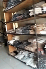 Inside a Tasikmalaya garment shop, with rural views beyond
