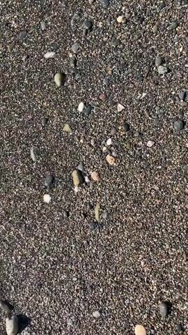 The video shows a close-up, top-down view of a pebble beach. Dark sand is mixed with numerous small pebbles of various colors, including gray, white, black, and some with pinkish and yellowish hues. The water of a body of water, likely the ocean, gently washes over the sand and pebbles from the left side of the frame to the right. The water is clear, allowing the pebbles and sand beneath to be visible. The movement of the water creates a rippling effect, distorting the view of the submerged pebbles. The lighting suggests it is daytime, likely sunny. No people or other objects are visible.