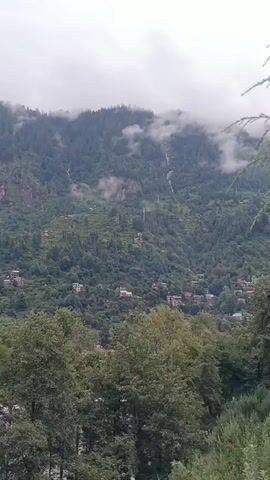 The video pans across a lush, green mountain landscape. The foreground is dominated by the tops of numerous trees, their leaves a deep green. Behind the trees, the mountainside rises steeply, covered in a dense forest of evergreen trees. Scattered across the mountainside are small clusters of buildings, likely houses or small villages, appearing as pops of muted colors against the green. Higher up the mountain, visible rock faces are interspersed with more trees. Several thin waterfalls cascade down the rocky slopes, disappearing into the foliage below. The sky above is overcast with heavy clouds, giving the scene a soft, diffused light and a slightly misty atmosphere. The overall impression is one of a serene, remote mountain village nestled within a dense forest.