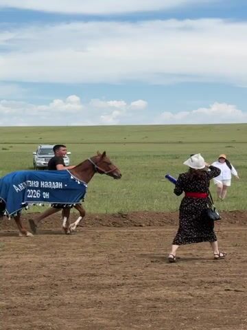 The video opens showing a brown horse wearing a blue blanket with text on it. A man in a black shirt is leading the horse to the right of the frame. A woman wearing a black and white dress and a white hat is standing to the right of the horse, facing it. She is holding a blue object in her right hand. Another person wearing a white shirt and a yellow hat is standing behind the man leading the horse. The background is a grassy field with a few white clouds in a blue sky. A white SUV is parked in the distance on the left side of the frame. The ground in the foreground is dirt. The horse is walking. The woman on the right is reaching out towards the horse. The text on the blanket appears to be in a foreign language and includes the numbers "2026". The video is very short, approximately 4 seconds long.