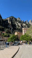 Tourist with chihuahua visits Spanish mountain town food market