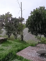 Heavy hailstorm strikes Abkhazia region, significant accumulation documented