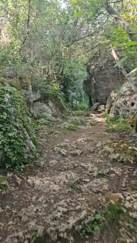 The video shows a path winding through a forest. The path is rocky and uneven, with large boulders on either side. The area is densely wooded with lush green vegetation. The lighting is bright, highlighting the textures of the rocks and foliage. The camera is positioned as if someone is walking along the path. There is audible background speech.
