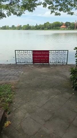 A body of water, likely a lake, is seen in the background with trees and a building on the opposite shore. In the foreground, a black metal fence with a decorative pattern separates a paved walkway from the water's edge. A red sign is attached to the fence. Several dark-colored fish are visible in the shallow water near the fence, some of them appearing to be feeding. Two small birds are also present on the walkway and at the water's edge. The sky is partly cloudy.
