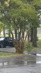 Children play ball game in rain, West Ocean City