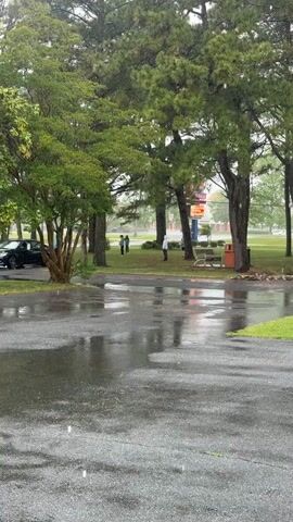 The scene is a rainy day outdoors. A group of four children, bundled up in hoodies, are playing some type of game involving a tennis ball and baseball bats on a grassy area. There are trees, a street and sidewalks, a car parked nearby and a building behind the grassy area. The street is shiny from the rain.