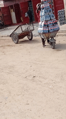 Morning street commerce documented in Maiburiji, Nigeria