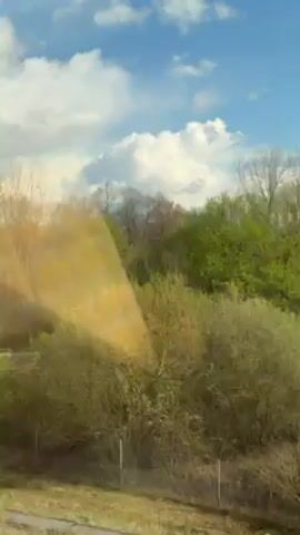 The video shows an outdoor scene, likely filmed from a moving vehicle. A tan-colored wall or bridge abutment fills the lower part of the frame. Behind it is a dense forest, primarily composed of leafless or sparsely-leafed trees, possibly birch, with their white trunks visible.  The sky above is blue with scattered white clouds.  The video appears slightly shaky due to the motion of the recording device.