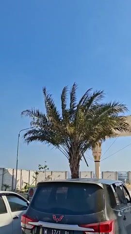 A short video shows a replica of the Kaaba in Mecca, Saudi Arabia, under a bright blue sky. The replica is black with gold trim and sits on a paved area. Palm trees are visible in the background, along with white tents providing shade. A dark-colored car is parked in the foreground. The video captures the replica from various angles as the camera moves.