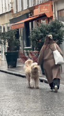 Morning street scenes and daily life documented across Paris