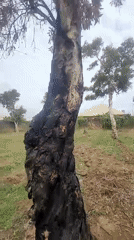 Morning documentation of everyday life in Jos, Nigeria