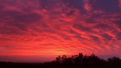 Dramatic sunset sky over silhouetted trees, rich color gradient