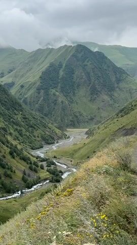 A slow pan shot captures a winding river flowing through a lush green mountain valley. The sky is overcast with clouds. The river is shallow and appears to be a mix of water and gravel beds. The valley walls are covered in dense vegetation with scattered trees. The foreground features wild grasses and small yellow flowers. The overall impression is one of a serene, natural landscape.